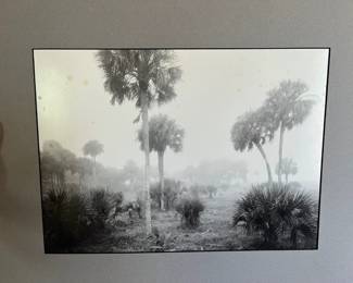 Clyde Butcher Poster Prints