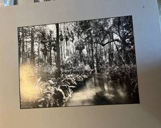Clyde Butcher Poster Prints