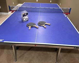 Ping Pong Table