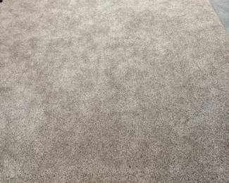 #40 - $74 - Tan rug 8 x 16
