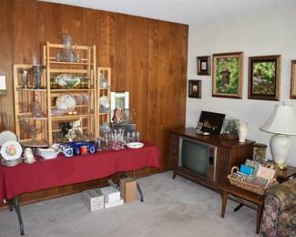 Family Room Overview