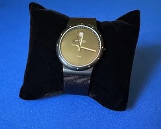 Skagen Denmark Titanium Men's Watch