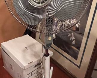144. Standing Fan