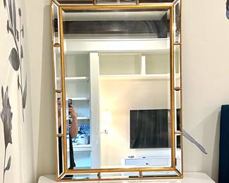 Gold Framed Rectangular Mirror with Decorative Design 20”x41”