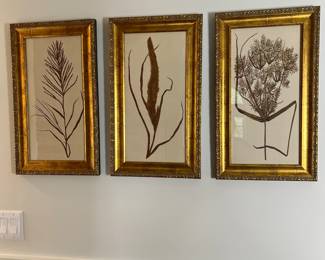 Uttermost Gold Botanicals