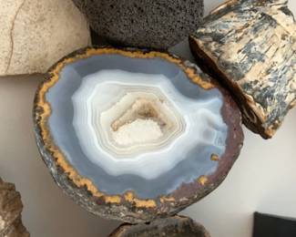 Geods, Fossils, Seashell Collection