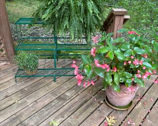 Planter stand and health plants and potted plants