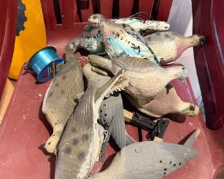 Dove Decoys