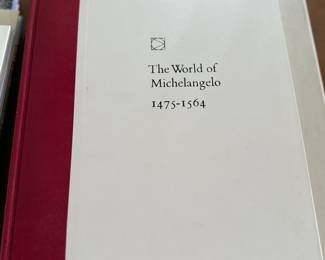 The World of Michelangelo