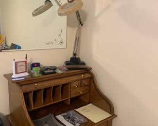 Magnifying lamp