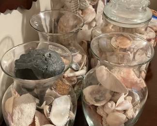 Shell collection, sold in Lots