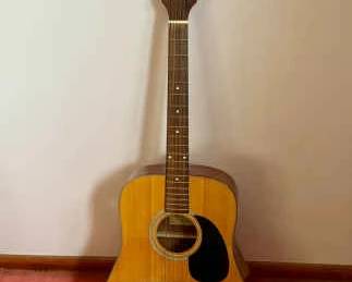 Jasmine By Takamine Acoustic Guitar