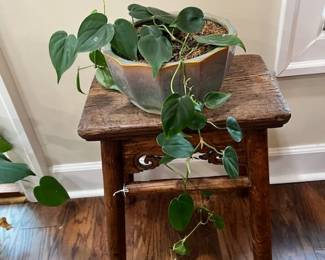 Early little joint stool