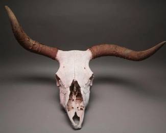 Bull Head with 34-Inch Horn Span
