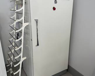This is from our first walk through of the home. Here we have a large upright amount of freezer and it works folks.