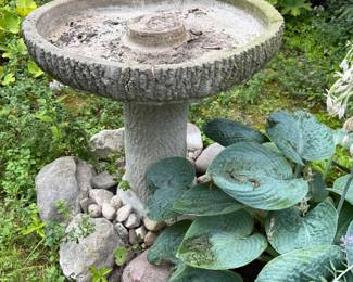 This is from our first walk through of the home. Here is one of THREE cement bird baths we have.