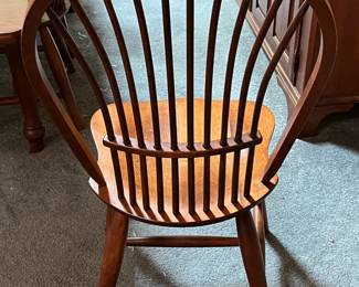 Back View of Dining Room Chair (Location Dining Room)