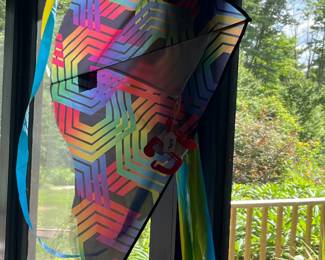 1 of Many Kites (Location inside Patio)