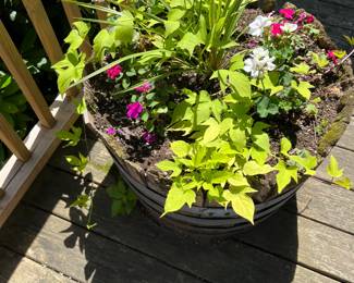 Assorted Plants & Flowers (Location Outside Patio)