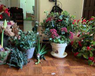 Collection Of Artificial Plants