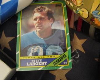Seahawks 