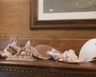 collection of shells