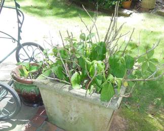 planters