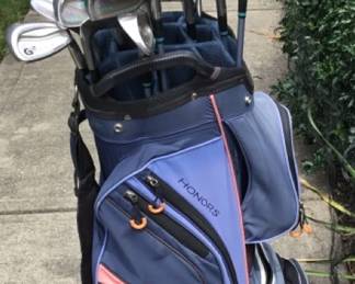 009 LADY COBRA Golf Clubs