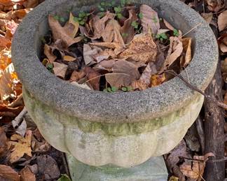 Cement Planter