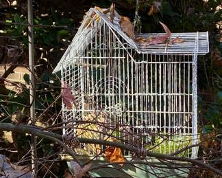 Bird Cage
