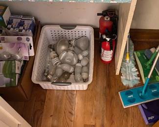 Light Bulbs and Household