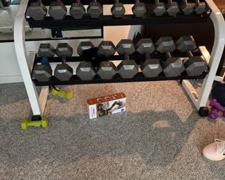 COMPLETE SET OF WEIGHTS ON STAND   BUY THEM NOW  $350.00   