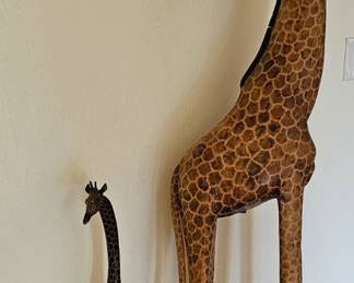 Tall and short Giraffe