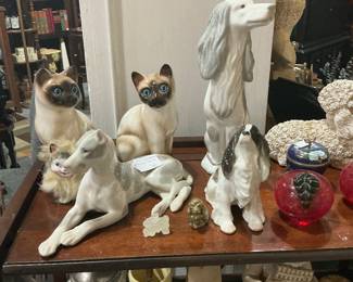 From Siamese’s to Danes