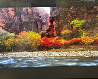 Crystal Clear Incredible Colors!!!!