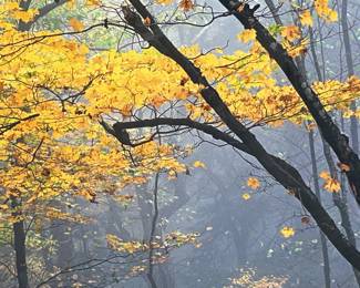 Looks like you could reach out and touch it!