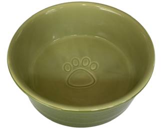 Green Ceramic Dog Food Bowl