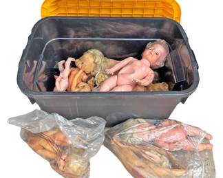 Dolls Doll Parts  Tub