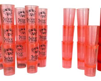 26 Novelty Plastic Shot Glasses