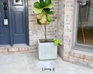 216Front Yard