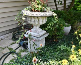 224Front Yard