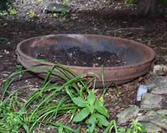 258Back Yard