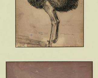 1027
John Tinney McCutcheon (1870-1949)
Two works framed together:
Single standing ostrich, circa 1892
Ink on paper
Signed in ink lower left: J.T. Mch; dated by repute
Sight: 8" H x 5.5" W
Flock of ostriches
Ink on dark paper
Signed in ink lower left: J. McCutcheon
Sight: 5.5" H x 7" W
Estimate: $100 - $200
