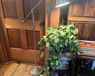Silver floor lamp one of many to choose from