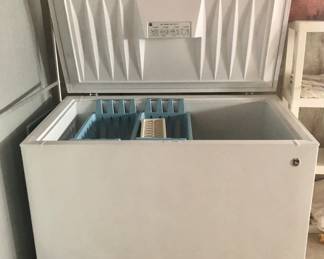 GE Freezer $100