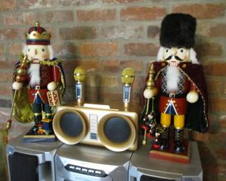 Alpowl Karaoke Machine