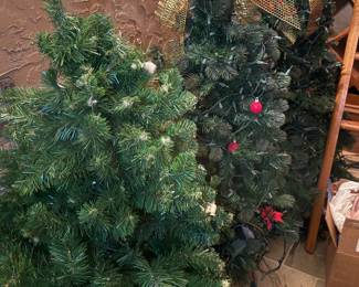 Assorted Christmas Trees