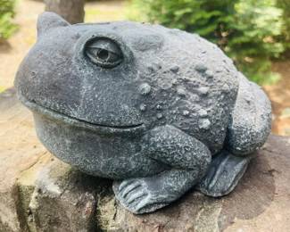Concrete Frog 