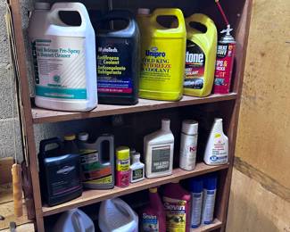 various cleaning items, bleach, and car care