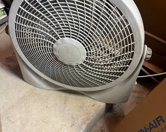 Fan